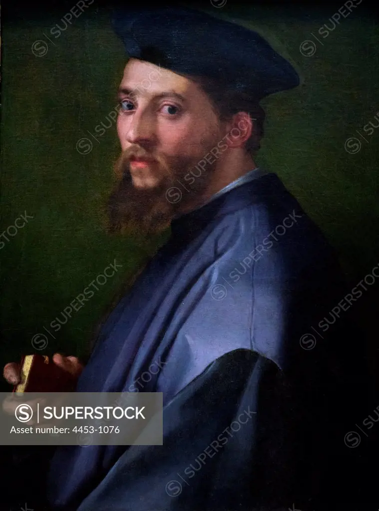 Portrait of Man by Andrea del Sarto also known as Andrea d'Agnolo (Florence 1486-1530 Florence) Oil on canvas.