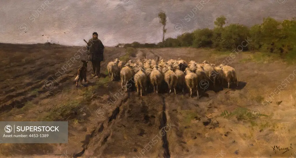 Anton Mauve; Dutch; Zaandam 1838-1888 Arnhem; The Return to the Fold; Oil on canvas.
