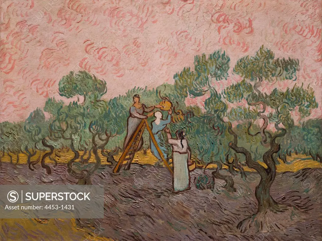 Vincent van Gogh; Dutch; Zundert 1853-1890 Auvers-sur-Oise; Women Picking Olives; 1889; Oil on canvas.
