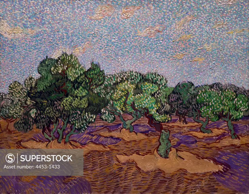 Vincent van Gogh; Dutch; Zundert 1853-1890 Auvers-sur-Oise; Olive Trees; 1889; Oil on canvas.