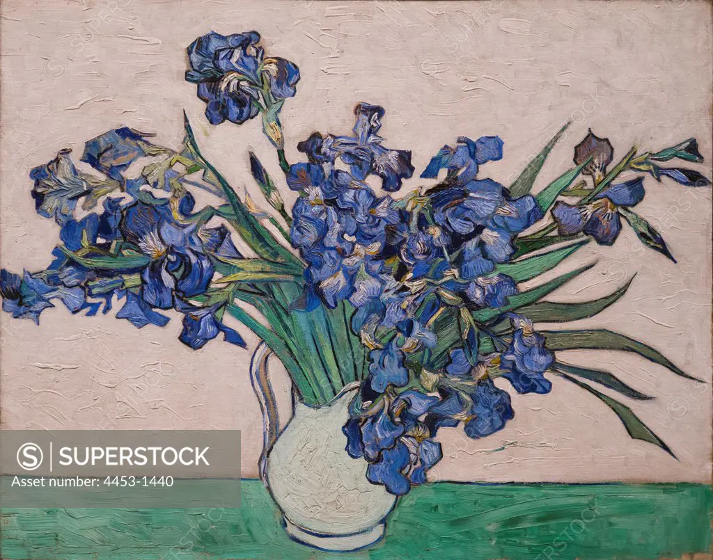 Vincent van Gogh; Dutch; Zundert 1853-1890 Auvers-sur-Oise; Irises; 1890; Oil on canvas.
