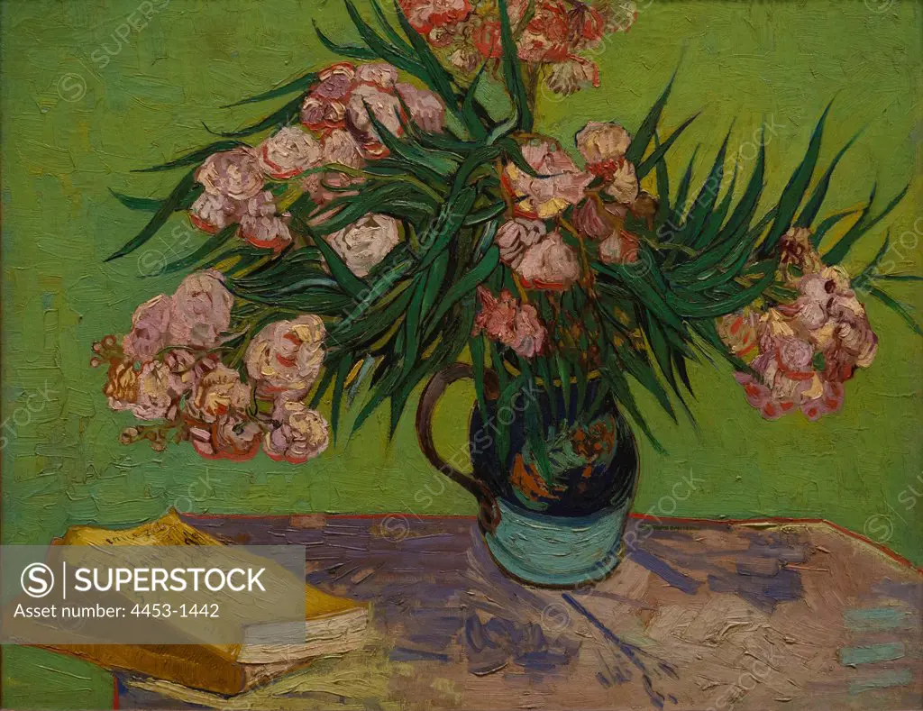 Vincent van Gogh; Dutch; Zundert 1853-1890 Auvers-sur-Oise; Oleanders; 1888; Oil on canvas.