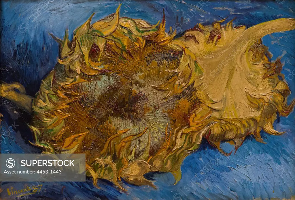 Vincent van Gogh; Dutch; Zundert 1853-1890 Auvers-sur-Oise; Sunflowers; 1887; Oil on canvas.