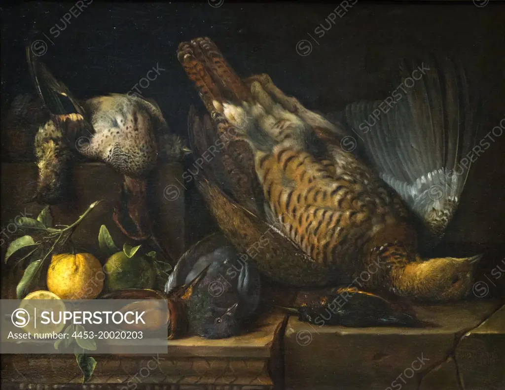 Still Life with dead birds by Pierre Dupuis (1610 - 1682); oil on canvas; 1666
