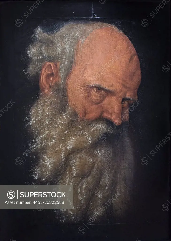 Head of an old man. 1518/19. (Hans Baldung; gen. Grien; 1484/85 Schwabisch-Gmund-1545 Strabburg)