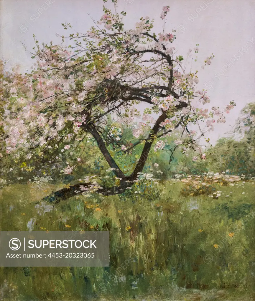 Peach Blossoms-Villiers-le-Bel 1887-89 Oil on canvas Childe Hassam American (1859-1935)