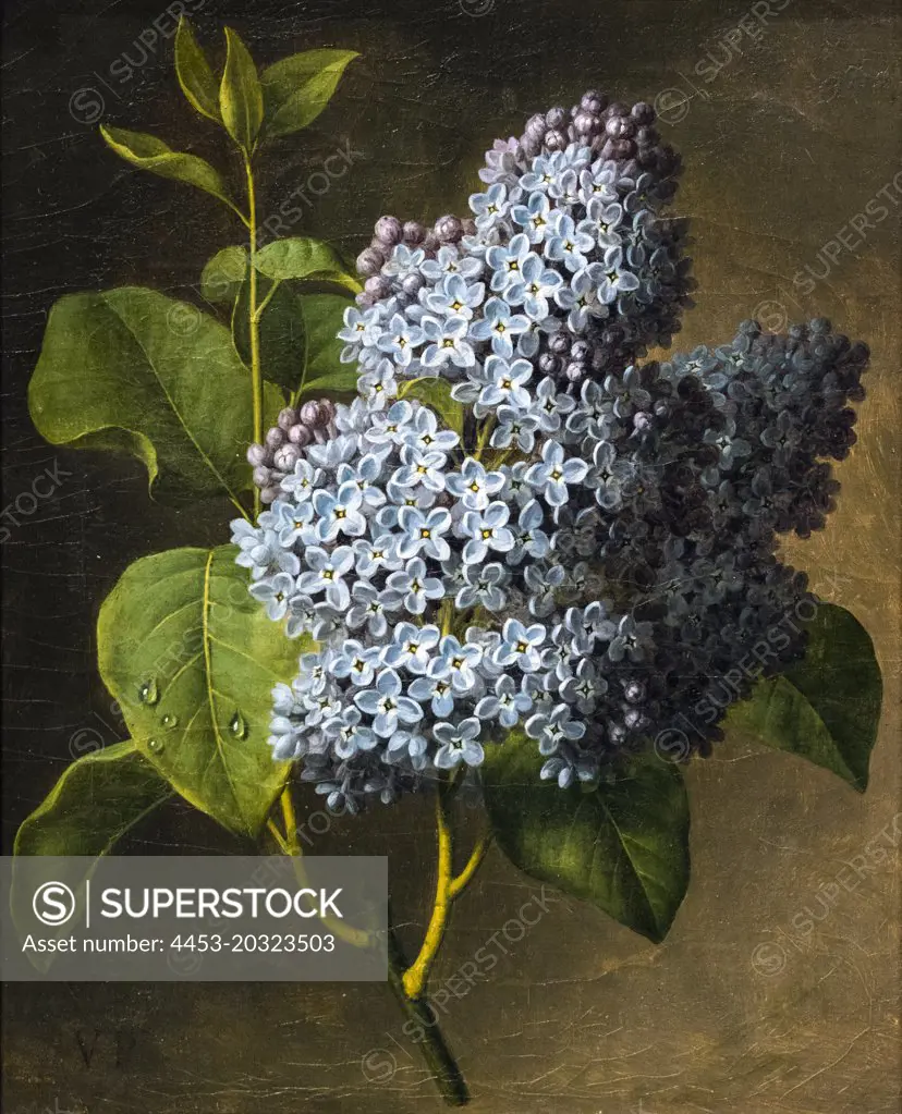 Lilac Blossoms C. 1800 Oil on canvas