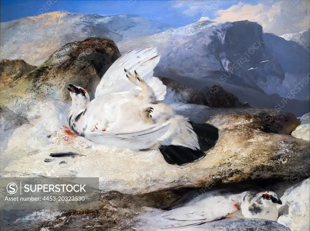 "Ptarmigan in a Landscape By 1833 Oil on panel by Sir Edwin Landseer, English, 1802 - 1873"