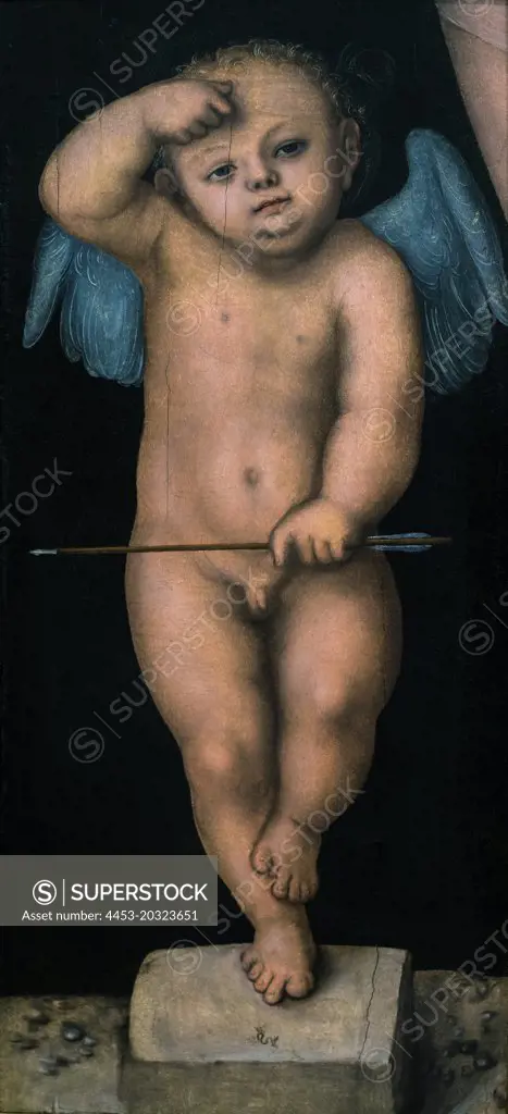 Cupid c. 1530 Oil on panel Lucas Craafter the Elder; German (active Vienna; Wittenberg; and Weimar) Born 1472; died 1553