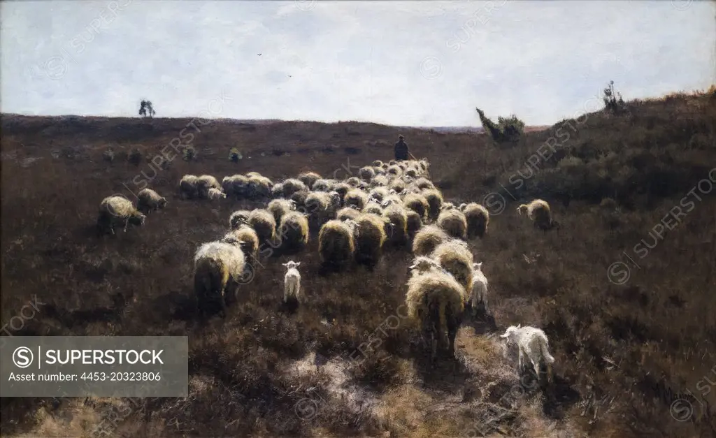 "The Return of the Flock; Laren c. 1886-87 Oil on canvas Anton Mauve, Dutch (active Haarlem, Amsterdam, The Hague, and Laren), 1838 - 1888"