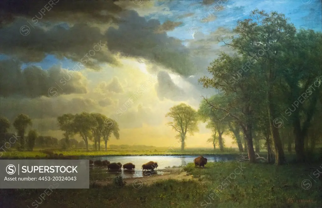 The Buffalo Trail; about 1867 Oil on canvas Albert Bierstadt American born in Germany; 1830-1902