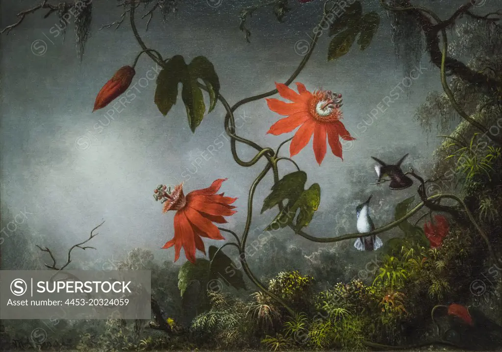 Passion Flowers and Honemingbirds; about 1870-83 Oil on canvas Martin Johnson Heade American; 1819-1904