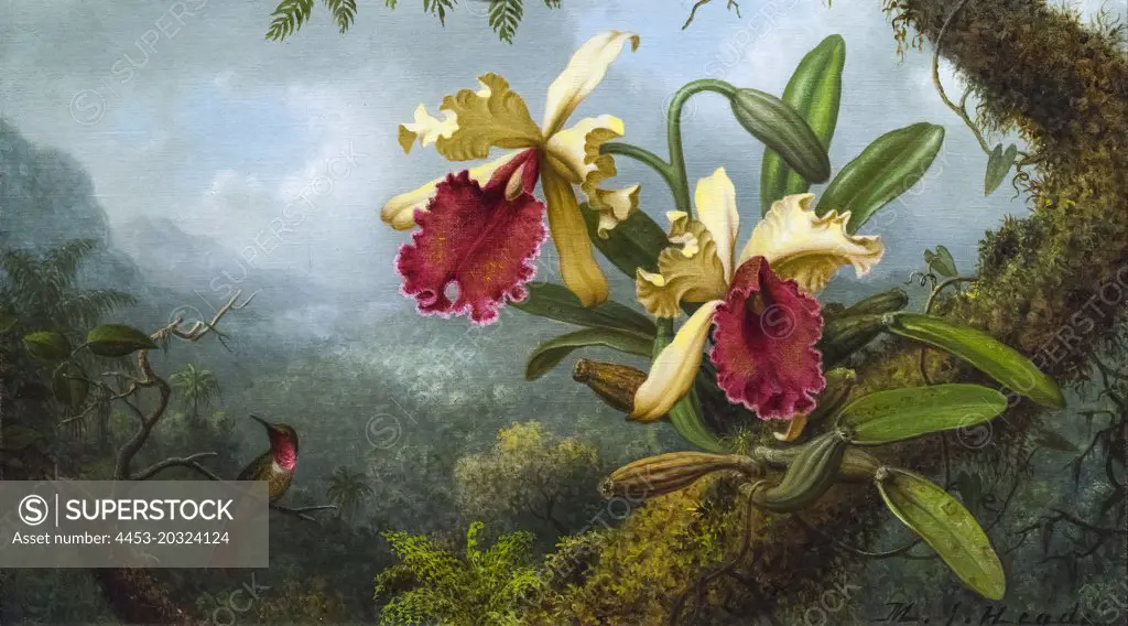 Orchids and Honemingbird; about 1875-83 Oil on canvas Martin Johnson Heade American; 1819-1904