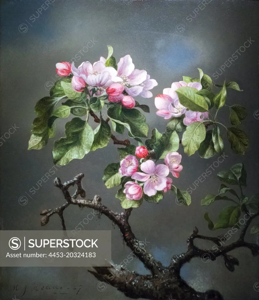 Apple Blossoms; 1867 Oil on board Martin Johnson Heade American; 1819-1904
