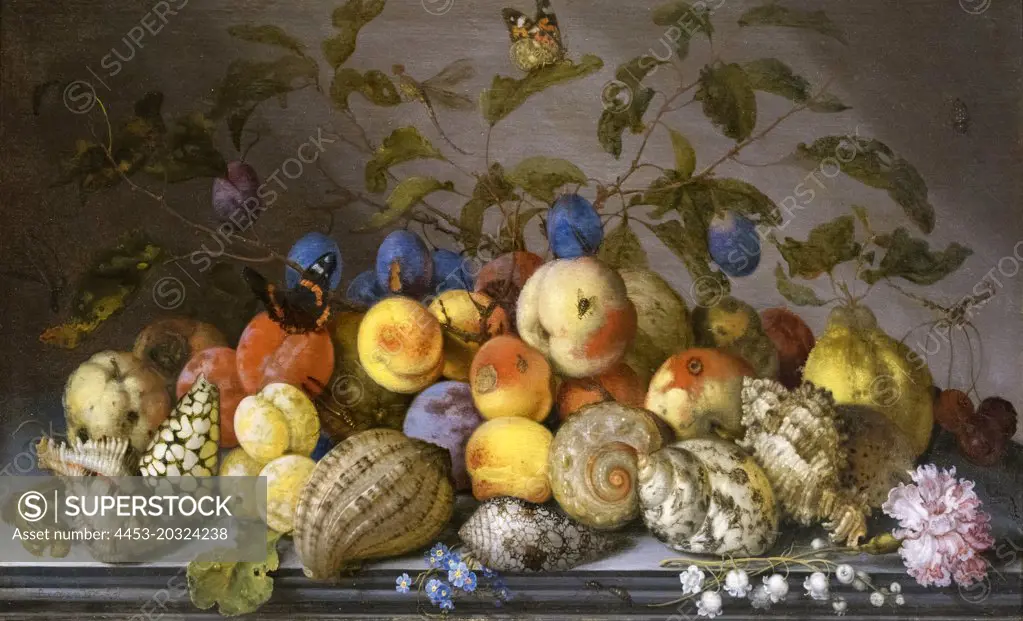 Still Life with Fruit and Shells Oil on panel Balthasar van der Ast Dutch; 1593 or 1594-1657