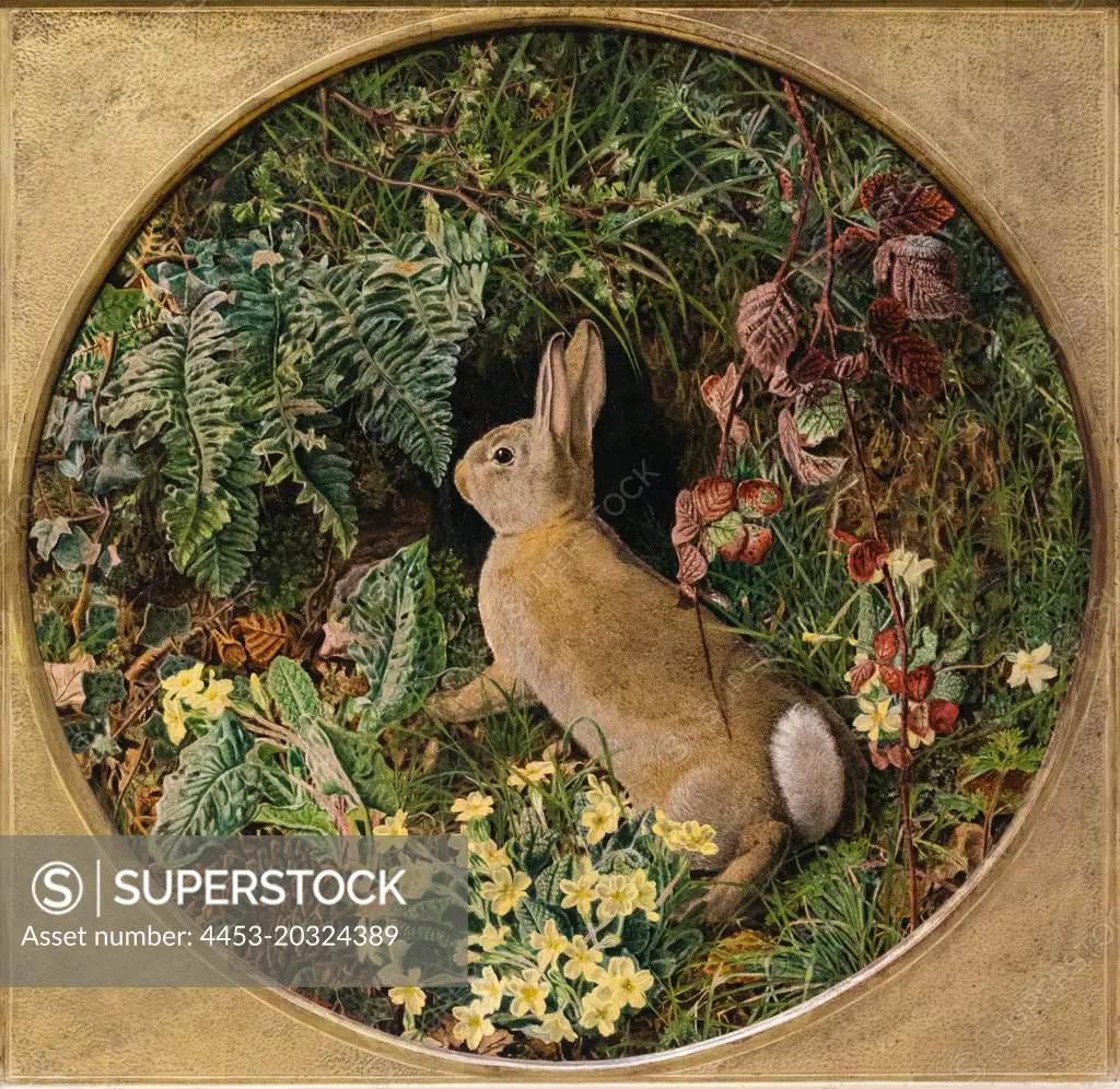 Rabbit amid Ferns and Flowering Plants; 1855 Oil on canvas William J. Webbe British; active 1853-1878