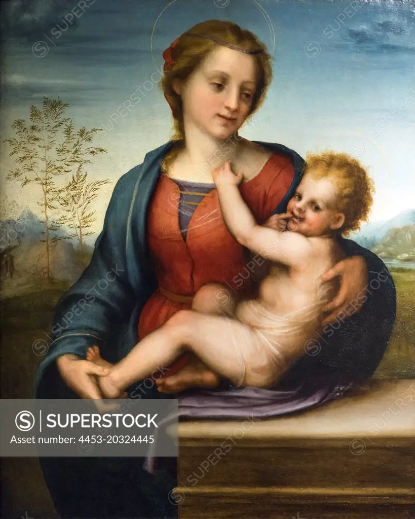 Virgin and Child; about 1509-10 Oil on panel Andrea del Sarto Italian Florentine; 1486-1530