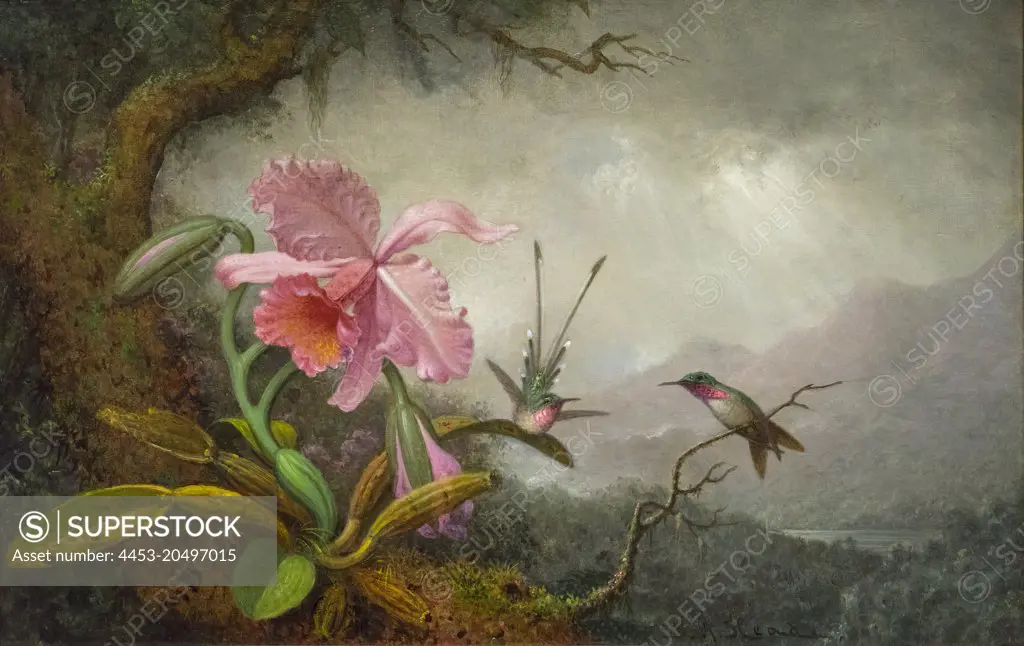 Honemingbirds and Orchids; about 1880; Oil on canvas Martin Johnson Heade; American; 1819-1904