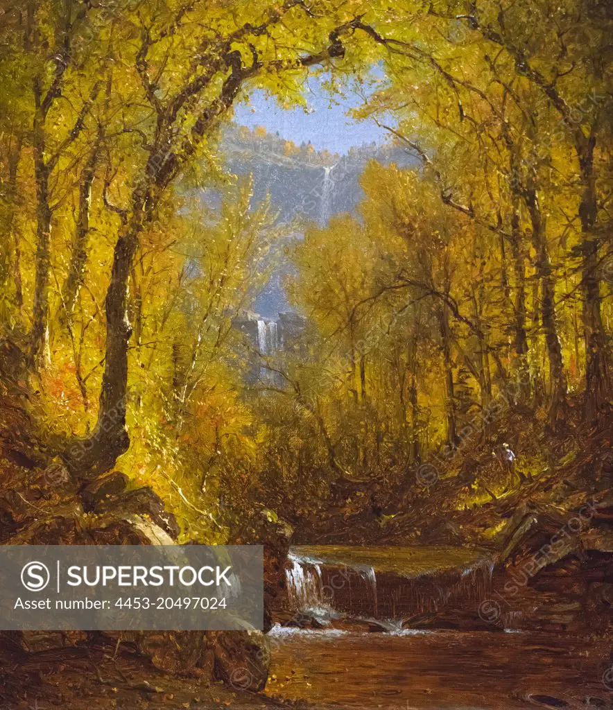 Kaaterskill Falls; 1871; Oil on canvas Sanford Robinson Gifford; American; 1823-80