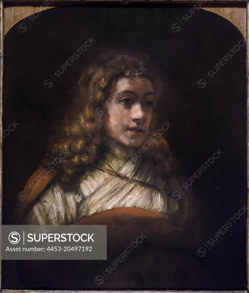 Bust of a Youth; early 1660s; Oil on oak panel Rembrandt Harmensz van Rijn; Dutch; 1606-69