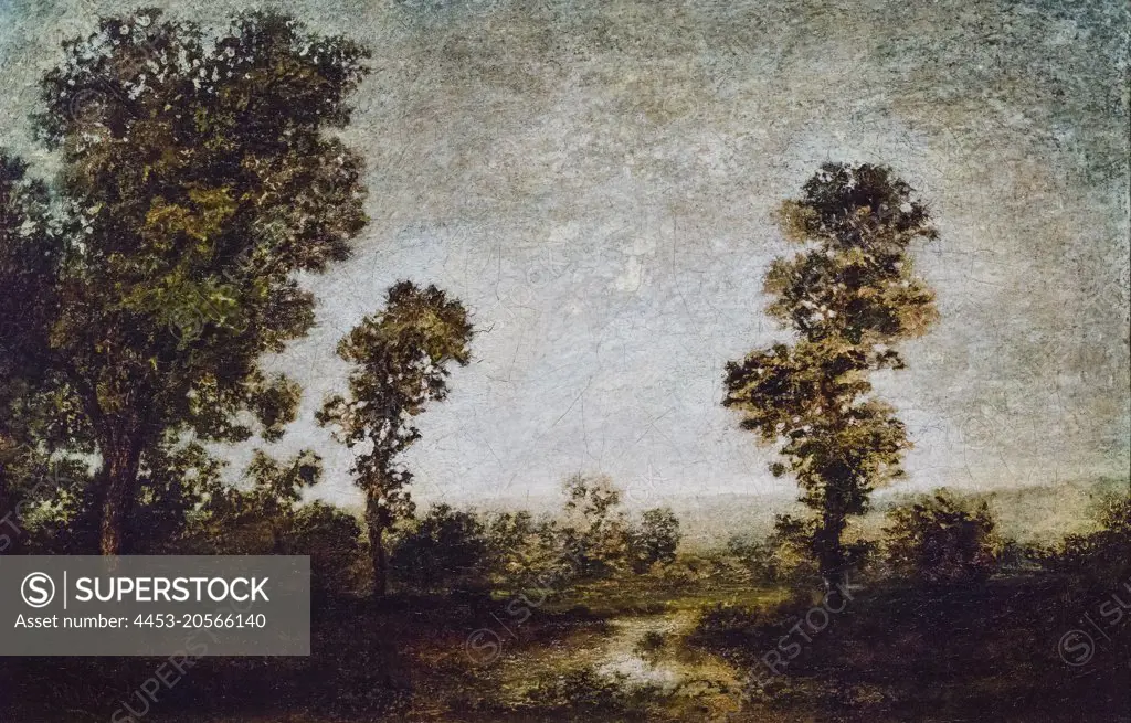 Landscape; about 1880 - 90 Oil on canvas Ralph Albert Blakelock; American; 1847 - 1919
