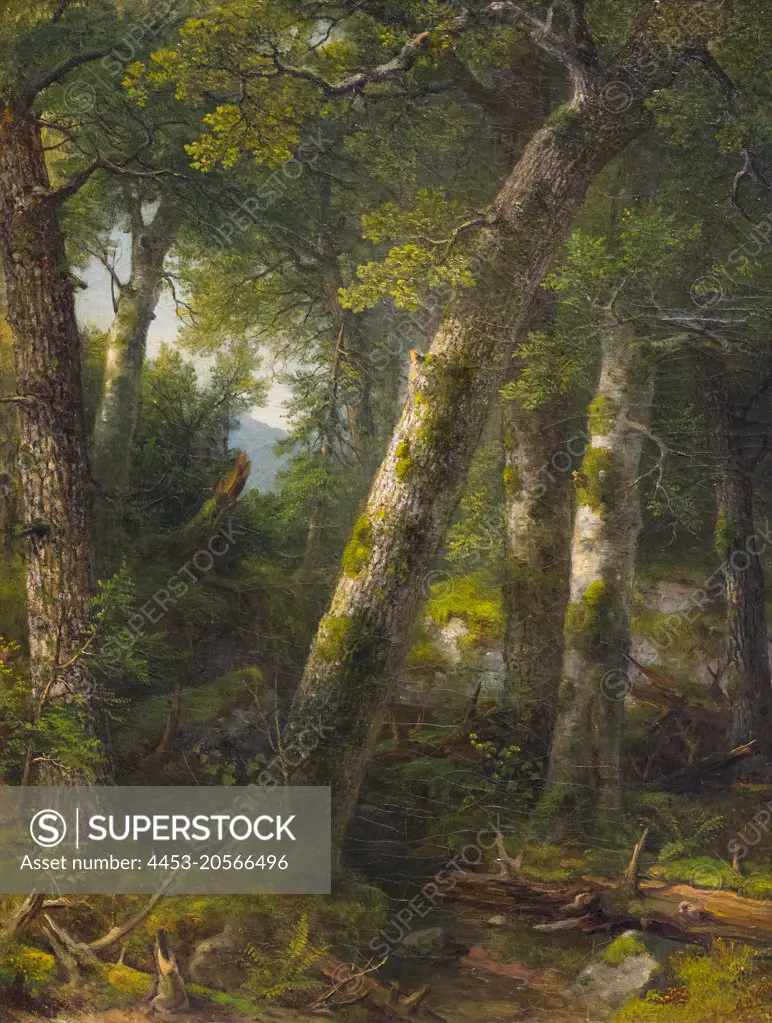 Forest in the Morning Light Oil on canvas; c. 1855 Asher Brown Durand; American; 1796 - 1886