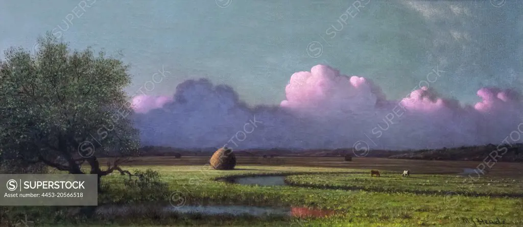 Sunlight and Shadow; The Newbury Marshes Oil on canvas; c. 1871/1875 Martin Johnson Heade; American; 1819 - 1904