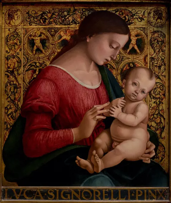 Luca Signorelli (Luca d'Egidio di Luca di Ventura); Italian; Cortona; 1470 - 1523 Cortona; Madonna and Child; Oil and gold on wood.