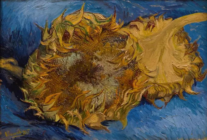 Vincent van Gogh; Dutch; Zundert 1853-1890 Auvers-sur-Oise; Sunflowers; 1887; Oil on canvas.