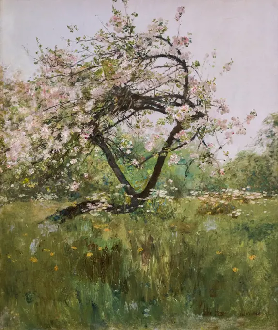 Peach Blossoms-Villiers-le-Bel 1887-89 Oil on canvas Childe Hassam American (1859-1935)