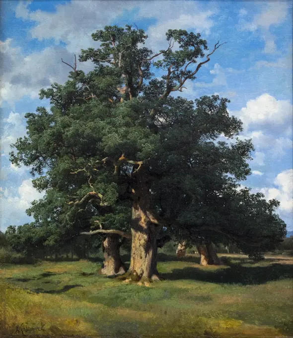 Oak Trees 1854 Oil on canvas by Andre Calame