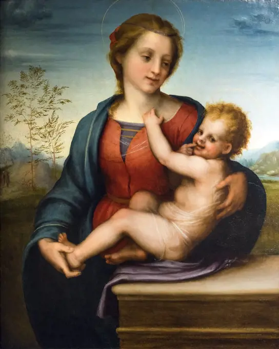 Virgin and Child; about 1509-10 Oil on panel Andrea del Sarto Italian Florentine; 1486-1530