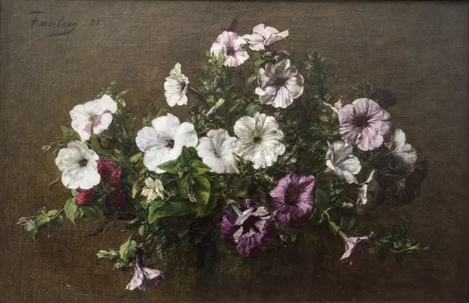 Petunias; 1881; Oil on canvas Henri Fantin-Latour; French; 1836-1904