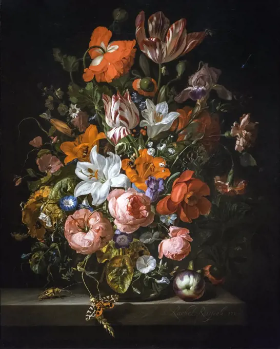 Flowers in a Glass Vase; 1704; Oil on canvas Rachel Ruysch; Dutch; 1664-1750