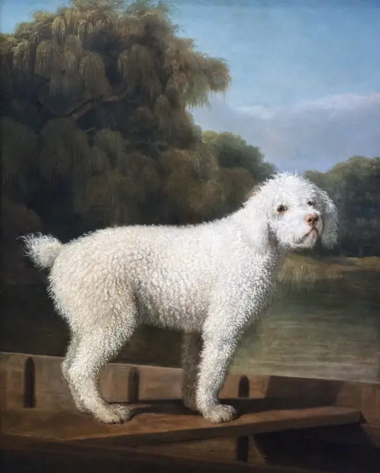 White Poodle in a Punt Oil on canvas; c. 1780 George Stubbs; British; 1724 - 1806
