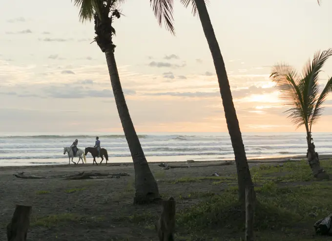 Couple riding horseback on tropical beach