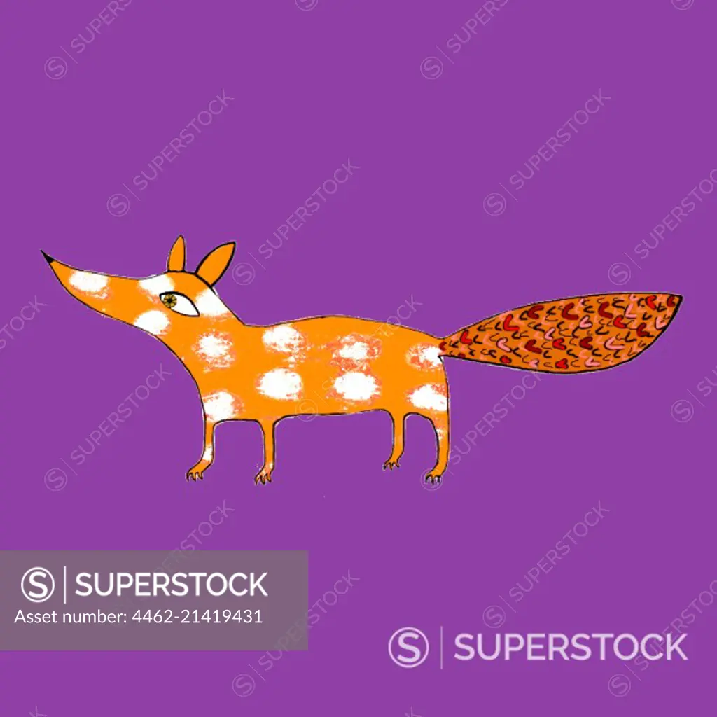 Fox on purple background