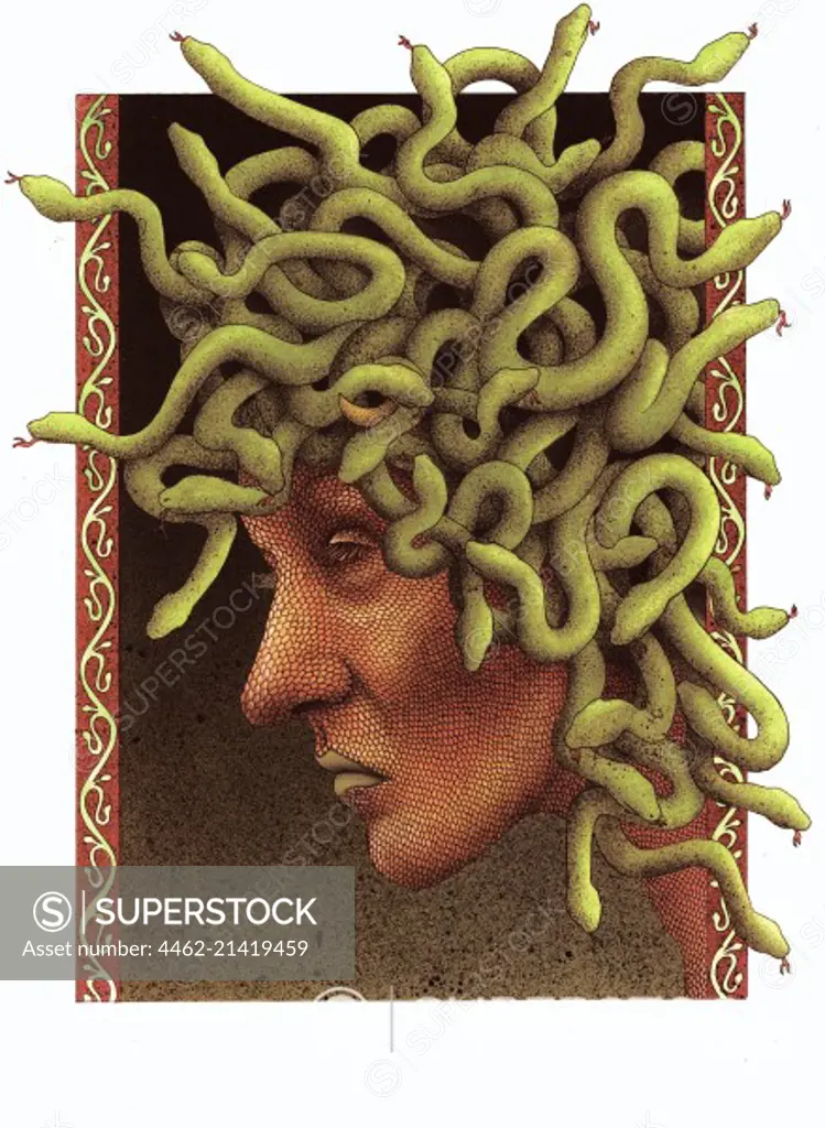 Fantasy image of head with snake hair
