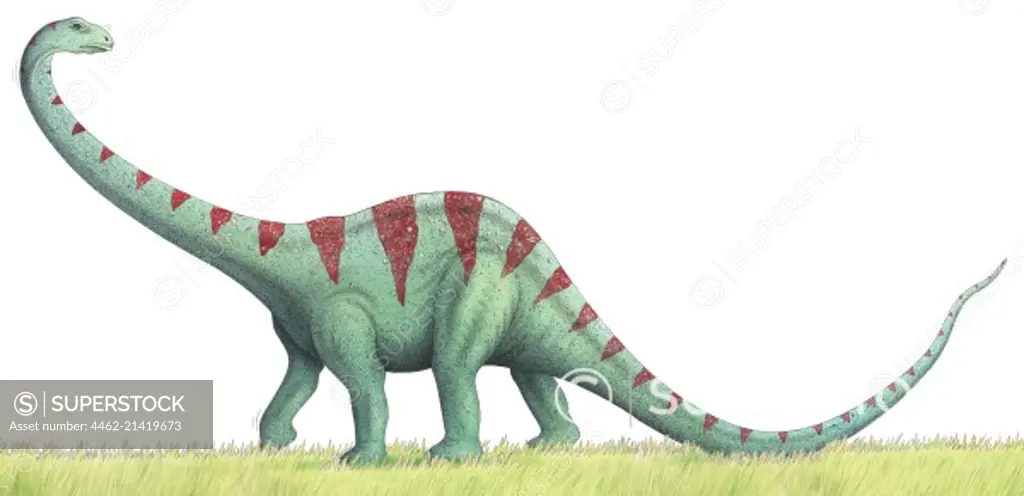 View of big dinosaur