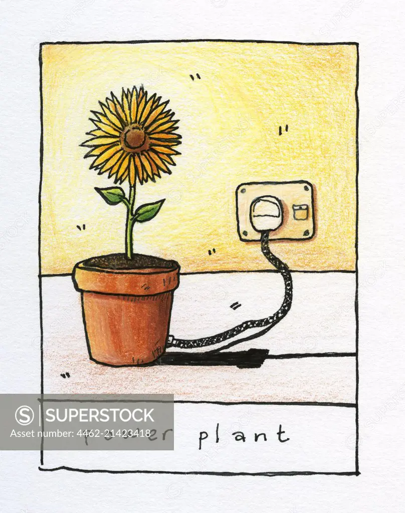 Flower in pot plugged in outlet
