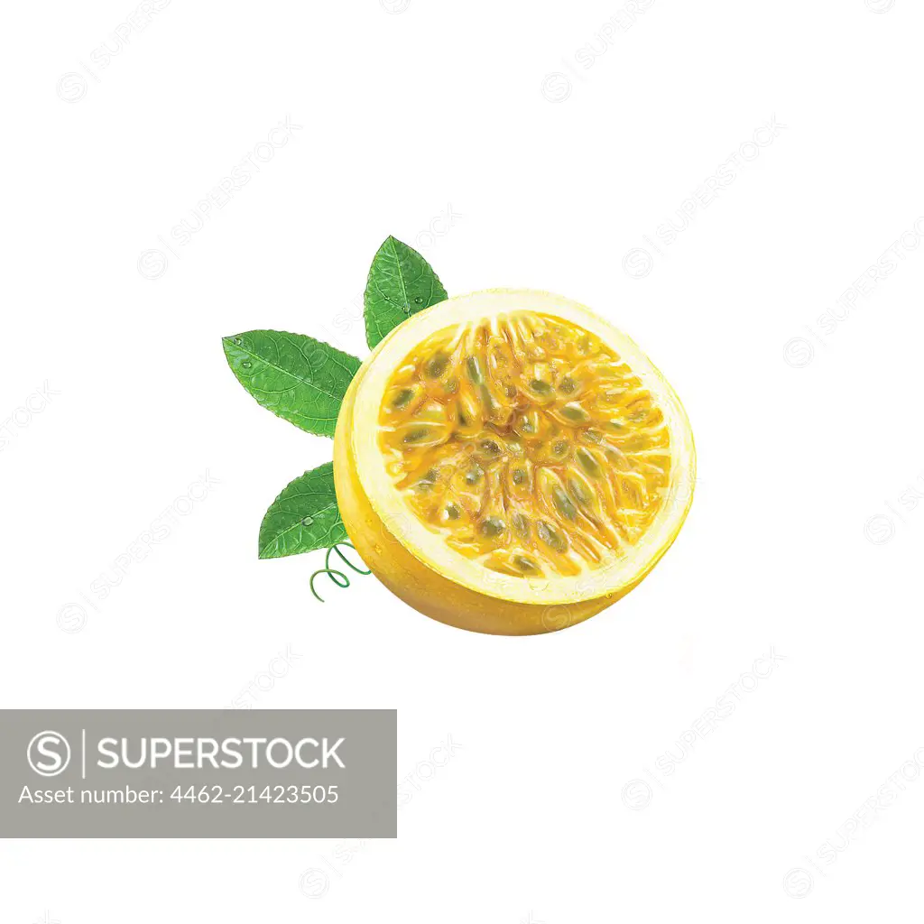 Close up of half of lemon on white background