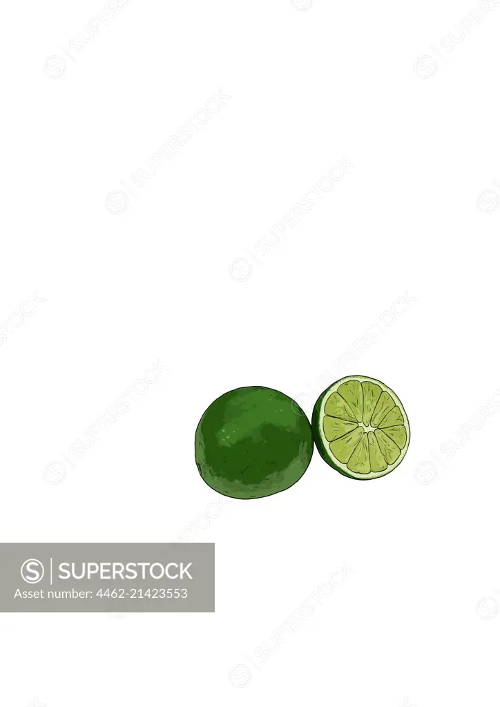 Lime on white background