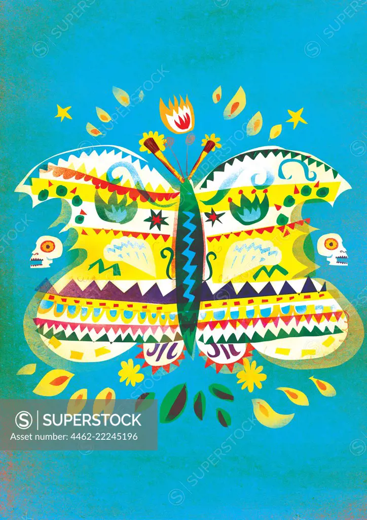 Colorful butterfly on blue background