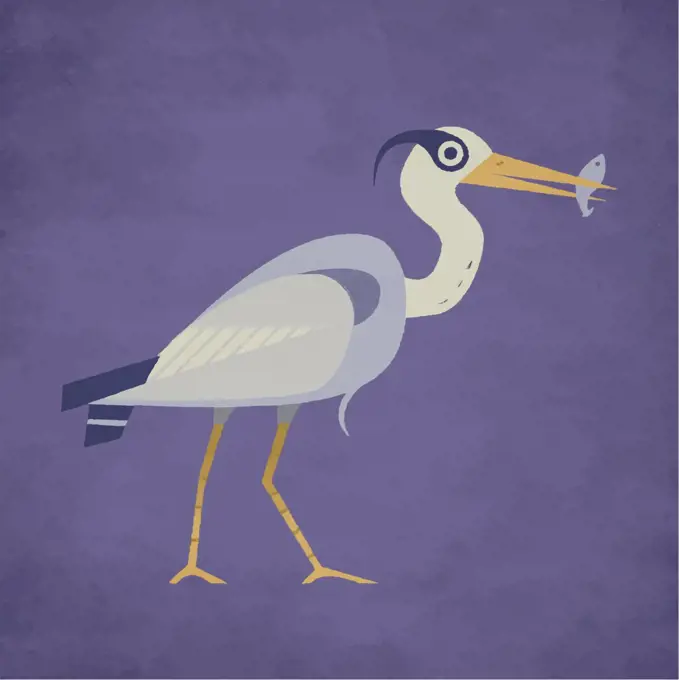 Great blue heron on purple background