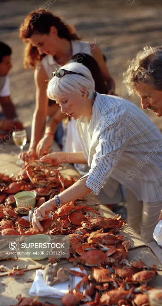 Mature adult woman and friends deshelling crabs while outside.