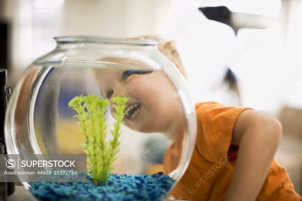 A curious young boy looks into a fish bowl.