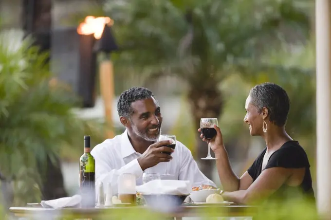 Couple toasting each other at dinner.