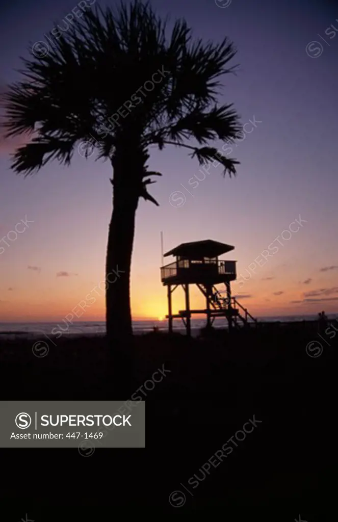 Lido Beach Sarasota Florida USA