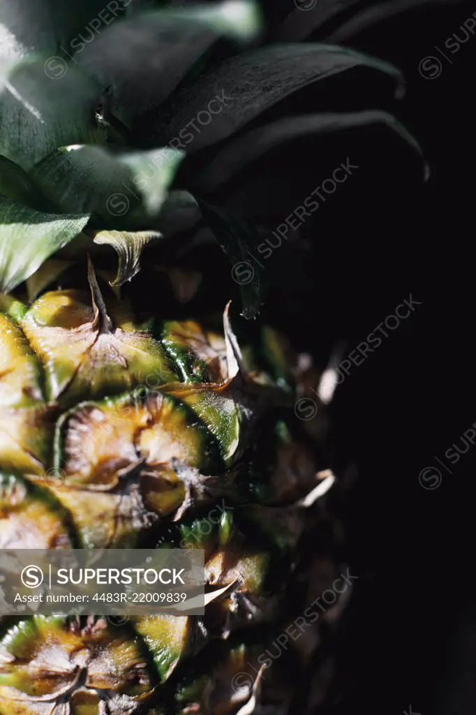Close up macro photo of a pineapple