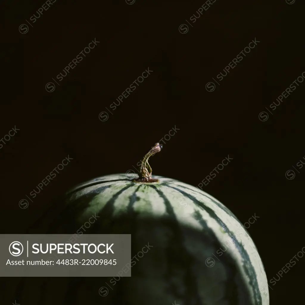 A close up macro photo of a watermelon on a dark background